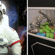 Illustration for article titled How Next Weeks Space Expo Will Bring The Adventure of Space Travel To Life